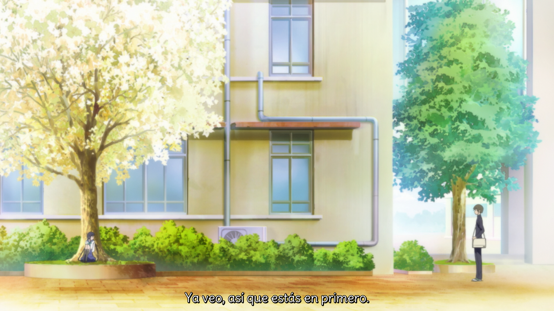 "Bungaku Shoujo" Movie (Yokosuka-467)